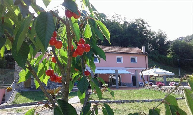 B&B La Casina Rosa La Spezia Valeriano Lunense ภายนอก รูปภาพ