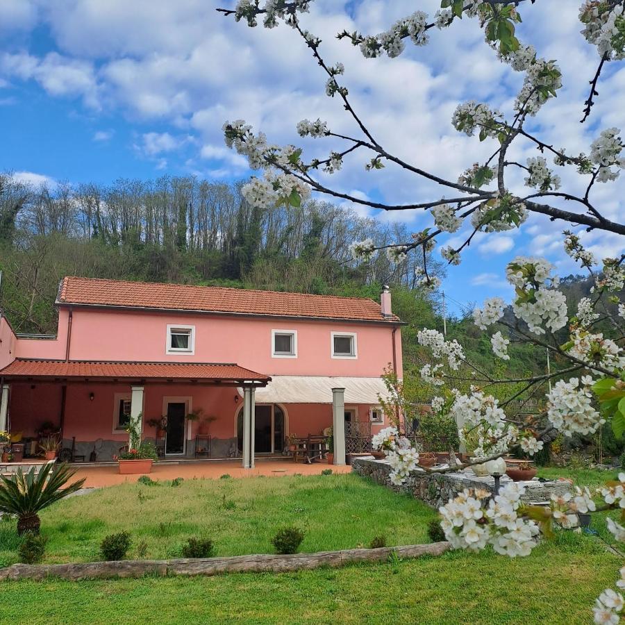 B&B La Casina Rosa La Spezia Valeriano Lunense ภายนอก รูปภาพ